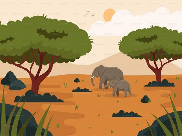 Asian Elephant