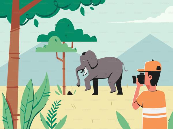 Indian Elephant